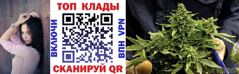 Магазины продажи наркотиков Болхов кракен вход  Бошки Шишки  COCAIN  НБОМе 
