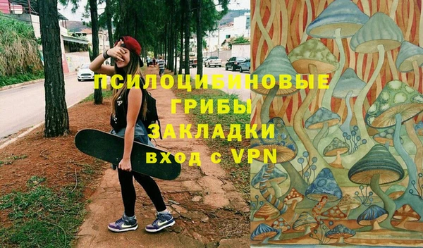 ALPHA PVP Алексеевка