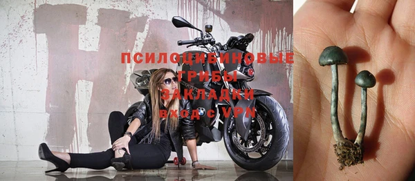 герыч Алексин